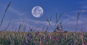 moon