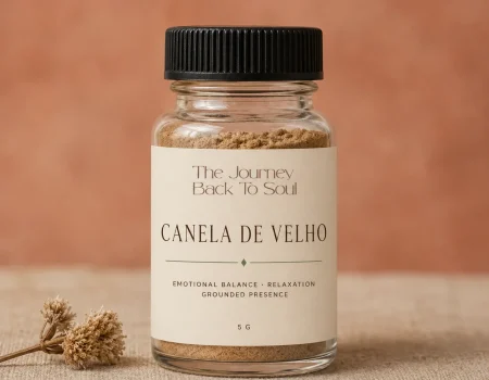 Canela de Velho