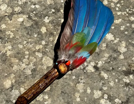 Ceremonial Prayer Fan