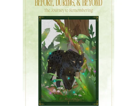 https://thejourneybacktosoul.com/product/ceremonial-book-before-during-and-beyond/