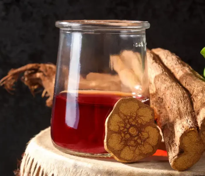 ayahuasca