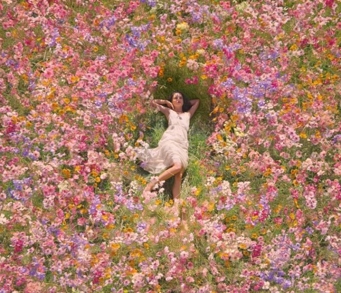"Embrace the Spirit of Spring: Join nature's symphony of renewal & growth. Connect with Earth's rhythms, cultivate gratitude, & embrace change for a vibrant life."